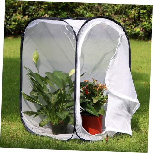 Cage pliable pour observation insectes sans risque de fuite Hohopeti - 5