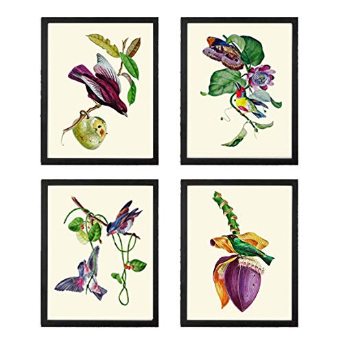 LoveThePrint Purple Violet Colorful Antique Bird Wall Art Print Set of 4...