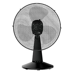PELONIS Ventilatore da tavolo 25W, ventilatore portatile con 2 livelli di velocità oscillante, angolo di inclinazione ca. Funzionamento silenzioso a 20° per ufficio e camera da letto (9″ )