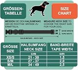 DEY - Premium Hundehalsband Air Mesh | Verstellbar | für Kleine, Mittelgroße u. Große Hunde | viele Farben u. Größen | Halsband Hund Katzen | Hunde-Halsbänder | Welpen-Halsband | Orange, S
