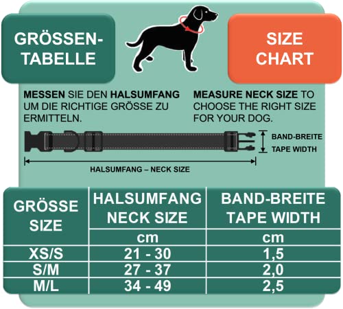 DEY - Premium Hundehalsband Air Mesh | Verstellbar | für Kleine, Mittelgroße u. Große Hunde | viele Farben u. Größen | Halsband Hund Katzen | Hunde-Halsbänder | Welpen-Halsband | Orange, S