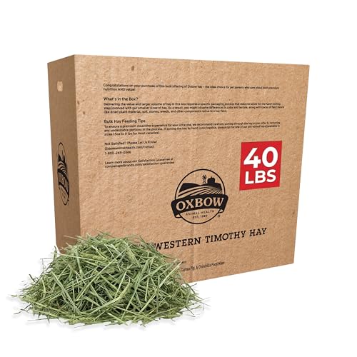 Oxbow Timothy Hay Rabbit & Guinea Pig Hay High Fiber for Digestive Health Grown in The USA Veterinarian Recommended Small Pet Supplies Bulk Food for Rabbits Guinea Pigs & Chinchillas 40 lbs