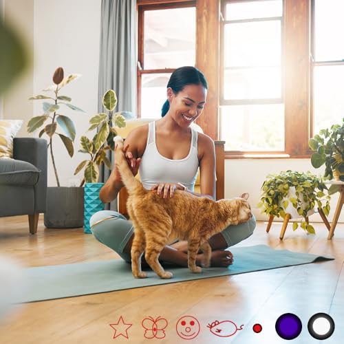 FYNIGO Interaktiver Spielzeugstab für Indoor-Katzen(2 Stück)