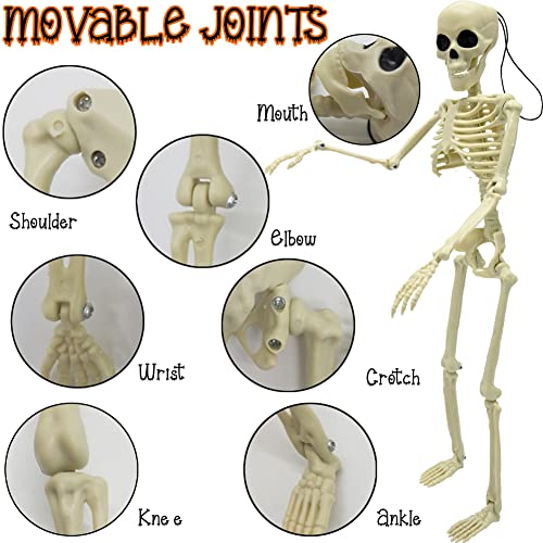CAMIRUS 6PCS Skeleton Halloween Decorations, 16 in Full Body Poseable Small Skeleton Plastic Bones with Movable Posable Joints for Halloween Indoor Outdoor Party, Graveyard, Haunted House Accessories4