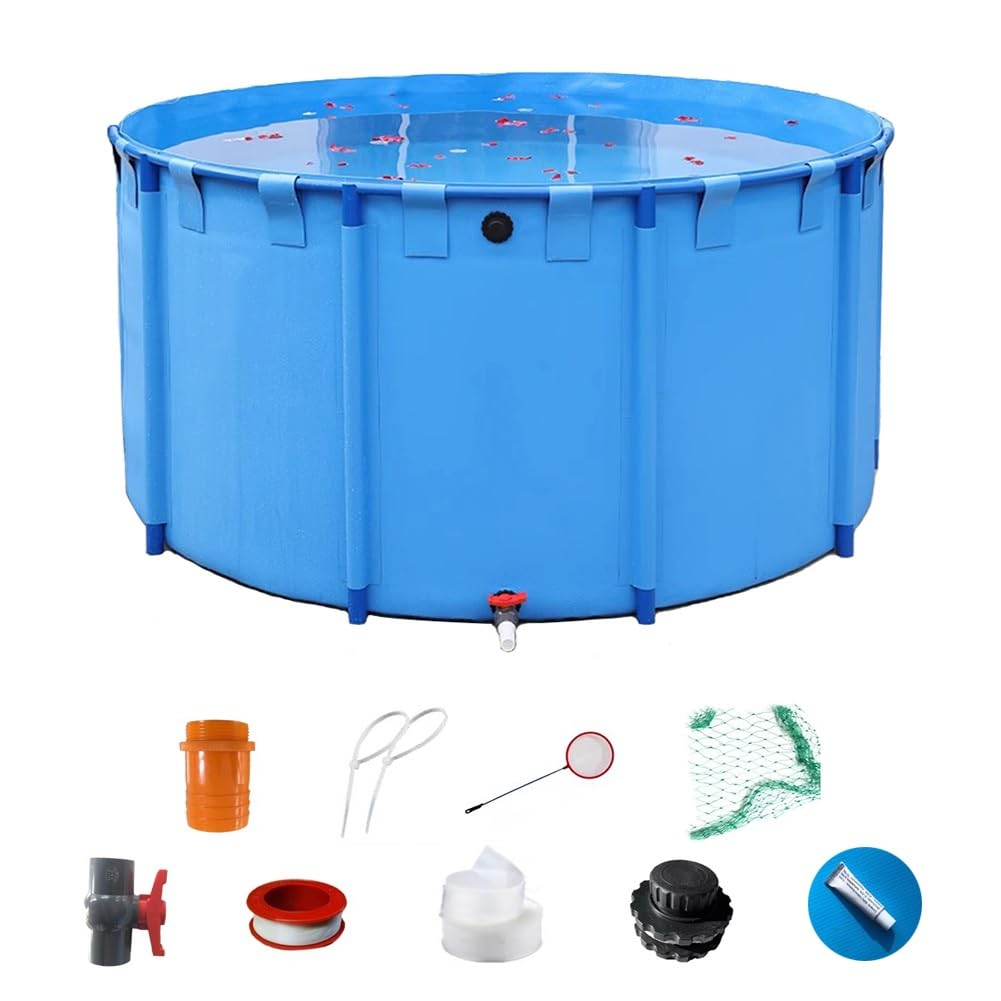 Bassin d'élevage de carpes koï avec cadre à sangles ultra stable
