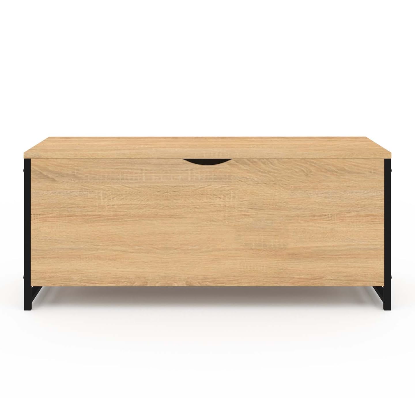 IDMarket - Aufbewahrungsbox 100 cm Detroit Holz und Schwarz Industriedesign