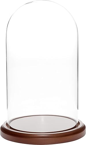 Miniatura 2 de Plymor Cúpula de cristal de 5.5" x 10" (base de chapa de roble)