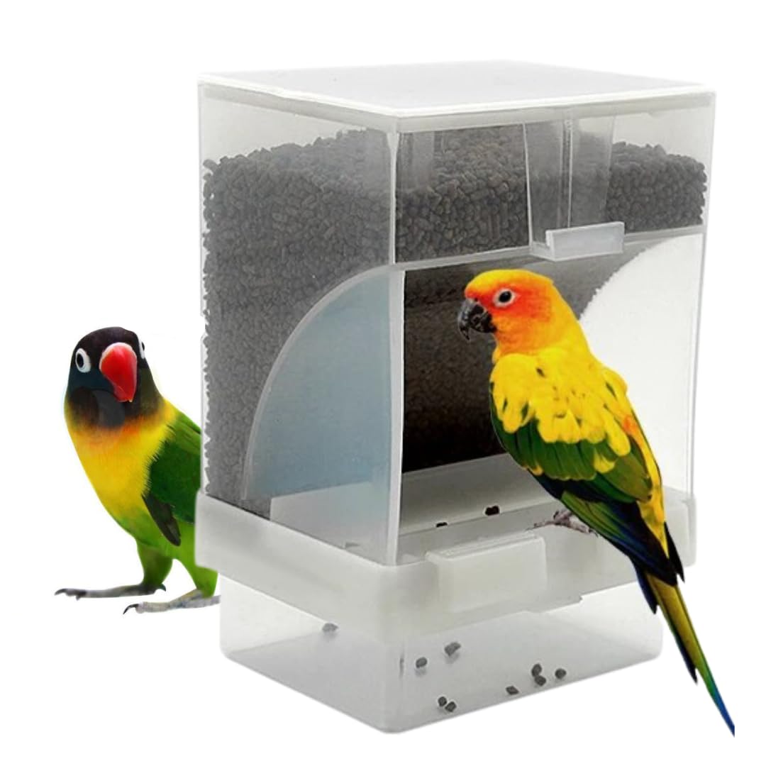 Premier Plants Birds Food Feeder Anti Spill Plastic Bird Feeder for Birtds Cage 500Ml (B0CVS9MH7W) Amazon Price History, Amazon Price Tracker
