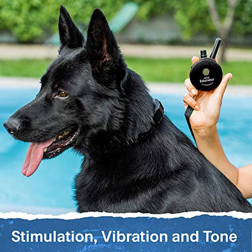 Educator ET-300 Black Mini E Collar for Dog Training with Remote - 1/2 Mile Range, Waterproof, 100 Blunt Stimulation Levels, Tone or Vibration Mode, Night Light Tracking for Small, Medium & Large Dogs