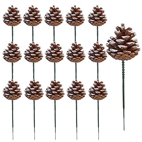Cooraby 20 Pieces 2 Inch Christmas Natural Pine...