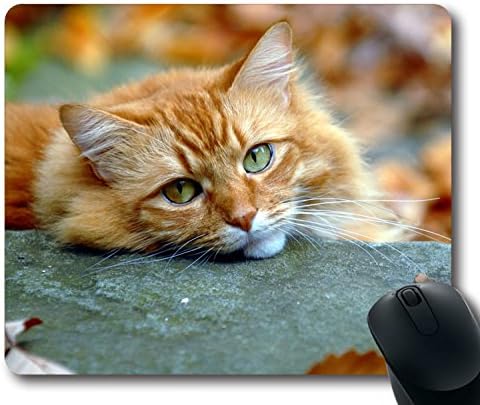 Custom Gaming Mouse Pad with Opinion Cat Autumn Red Non-Slip Neoprene Rubber Standard Size 9 Inch(220mm) X 7 Inch(180mm) X 1/8(3mm) Desktop Mousepad Laptop Mousepads Comfortable Computer Mouse Mat