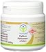 manako Flohsamenschalen, fein gemahlen, prebiotisch, 300 g Dose (1 x 0,3 kg)