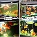 5W 7W 13W U-VC Aquarium Green Clean Light Aquarium Algae Clean Light Fish Tank Water Clean Light Green Clear Waterproof Fish Water Clean Lamp for Pond Fish Tank Sump Swim Pool (11W-13inch Length)