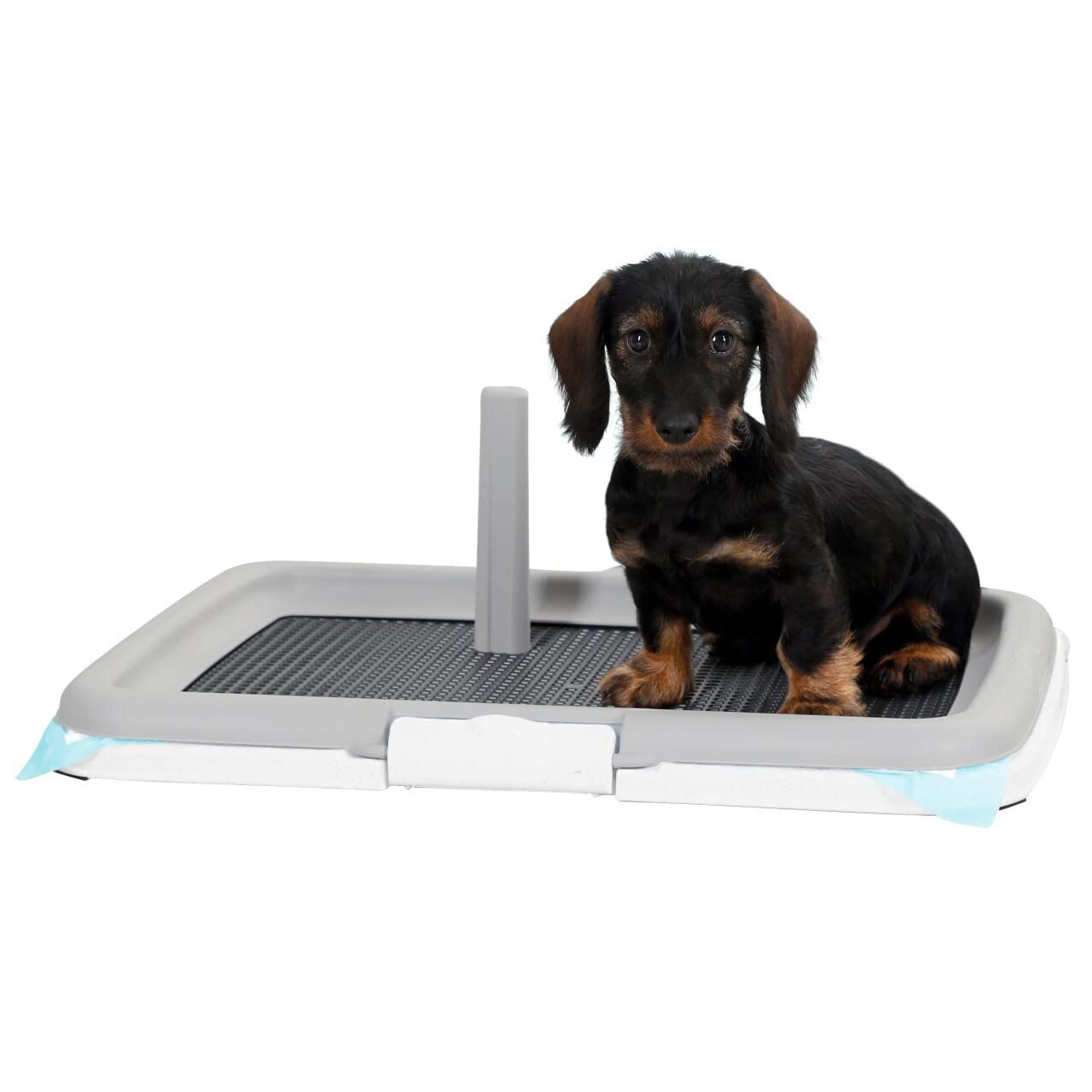 KERBL PET Welpentoilette Puppy zestaw treningowy 60 x 40 x 4 cm