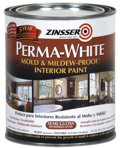 RUST-OLEUM 02754 2754 Interior Paint