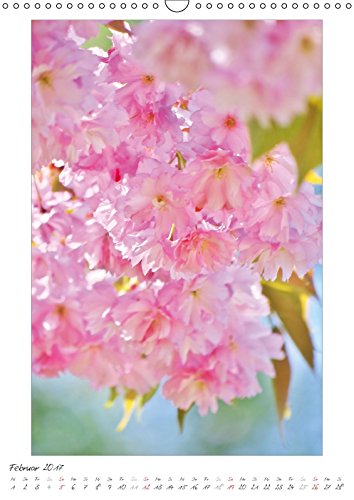 Blumengarten (Wandkalender 2017 DIN A3 hoch): Fotografien von wunderschönen Blumen und Blüten. (Monatskalender, 14 Seiten) (CALVENDO Natur) [Apr 09, ... Angela und DESIGN Photo + PhotoArt, AD