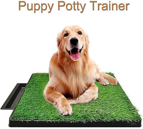 Hundetoilette von Yorking für Welpen und kleine Hunde, wiederverwendbar