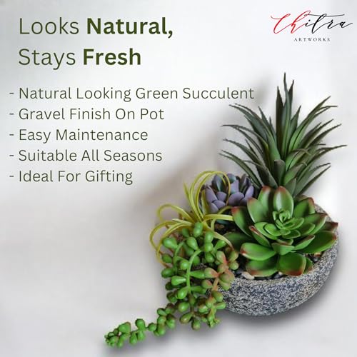 Image of Art Works Chitra Art Works Artificial Plants with Pot | Realistic Faux Greenery, No Maintenance, Durable Plastic | Home & Office Decor, Indoor Use | 18x15cm (Pack of 1)