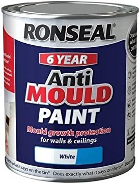 Anti Mould Paint White Matt 750ml