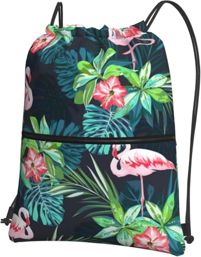 [ESASAV] t~S   WTbN ibvTbN В ̑ ւ ʉ ʊw LbYobO ۈ牀 ct w 