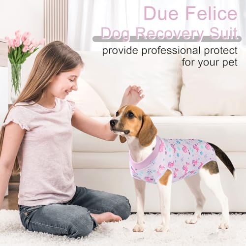 Image of Dog Surgery Suit Female Spay Recovery Suit for Dogs Surgical Recovery Suit for Female Dog Neuter Recovery Suit Male Dogs Onesie for Surgery Fits Small Medium Purple Dinosaurs /L