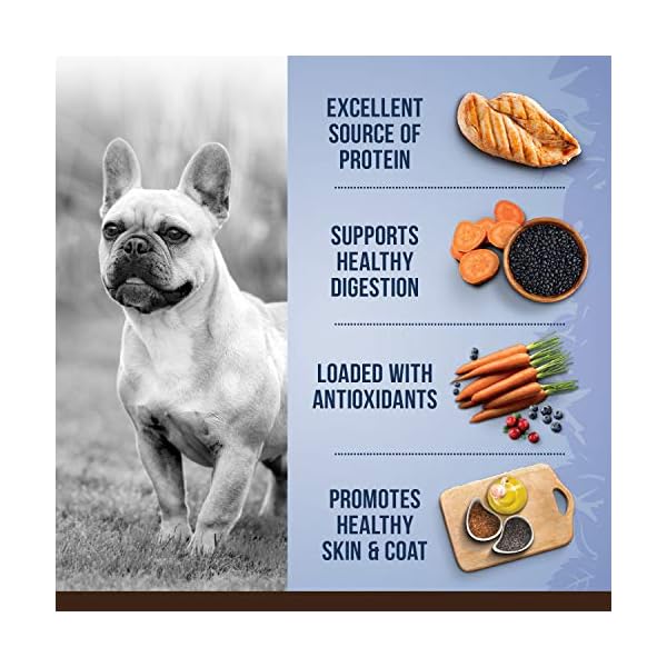 Zoe Dry Dog Food, Small Breed, Chicken/Quinoa/Black Bean Recipe, 2 kg (92906) Zoe Dry Dog Food, Small Breed, Chicken/Quinoa/Black Bean Recipe, 2 kg (92906)