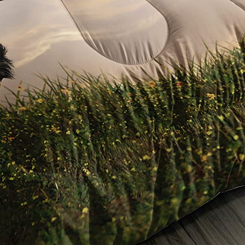 Bailipromise Horse Comforter Full Size,Farm Horse Comforter Set For Kids Teens Boys Girls,3Pcs Bedding Set Printed Comforter With 2 Pillowcases,Down Alternative,Soft And Lightweight，Full Size #TOP4