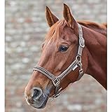  Waldhausen (AL Halfter Crystal, Taupe, VB, Taupe, Vollblut
