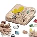 OMVOVSO Minerals Set di scavi di Pietra preziosa per Bambini Che Scava Il Giocattolo Geologia Geologia Pietre Compleanno Regalo,Beige
