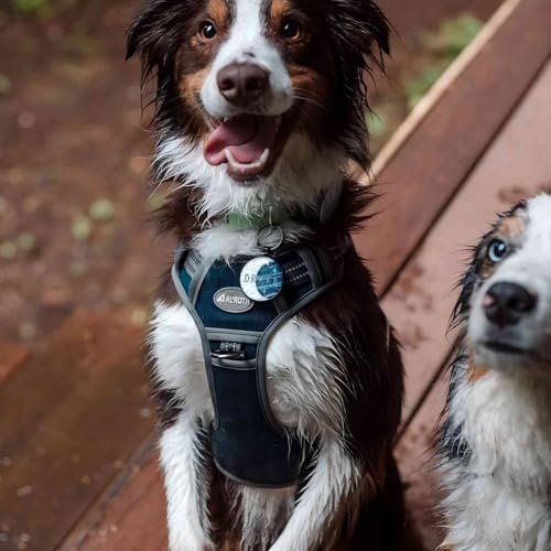 Image of AUROTH Tactical Dog Harness for Small Medium Large Dogs No Pull Adjustable Pet Harness Reflective K9 Working Training Easy Control Pet Vest Military Service Dog Harnesses (M, Denim Blue)