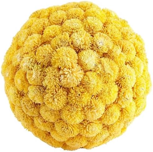 Cyan Design 07576 Sia Filler, Medium