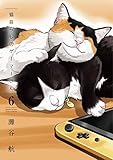 猫暮らしのゲーマーさん (6)