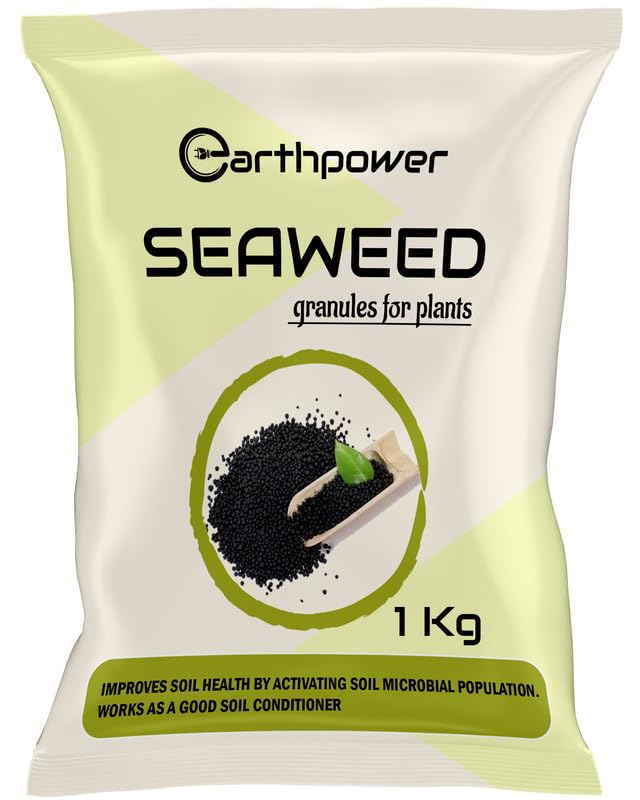 EarthPower Seaweed Fertilizer for Plant, Seaweed Granules for Plants Seaweed Extract Granules - Organic Fertilizer & Growth Promoter for Plants 1 kg (B0CN6X2F8C) Amazon Price History, Amazon Price Tracker