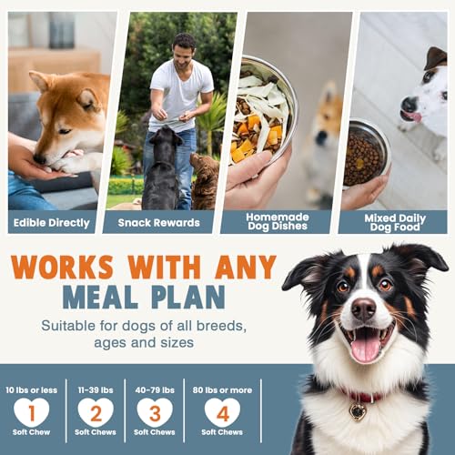 24-in-1 Dog Vitamins and Supplements 200 Ct Dogs Multivitamin Chewable Contain Chondroitin Probiotics Omega-3 Glucosamine for Dogs Skin Coat Heart Joint Gut Liver Brain Eyes Immune Support - Chicken - Image 8