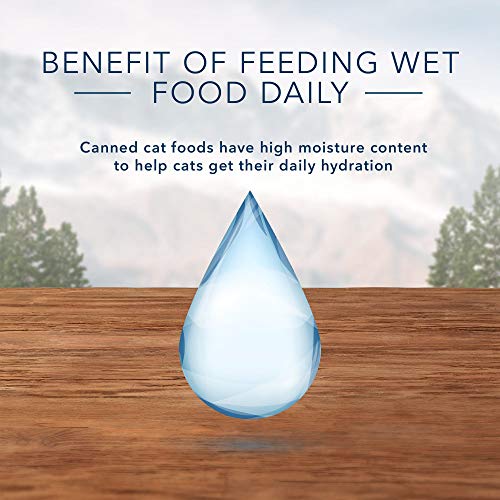 Image of Blue Buffalo Wilderness Wild Delights High Protein Grain Free, Natural Adult Flaked Wet Cat Food, Chicken & Trout 3-oz cans (Pack of 24)