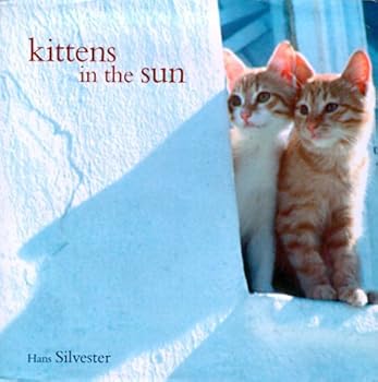 Hardcover Kittens in the Sun (1900-01-01) Book