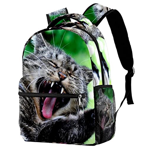 Mochila de viaje para viajes de negocios diseño gato con gafas rojas código #524