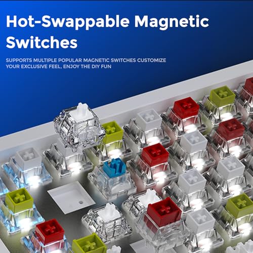 Image of DAREU COOL68 65% Hall Effect Magnetic Switch Gaming Keyboard with 8000Hz Polling Rate,Rapid Trigger,Adjustable Actuation,0.1ms Latency,SOCD,Gasket Mount,PBT keaycaps,Hot swappable,RGB Light