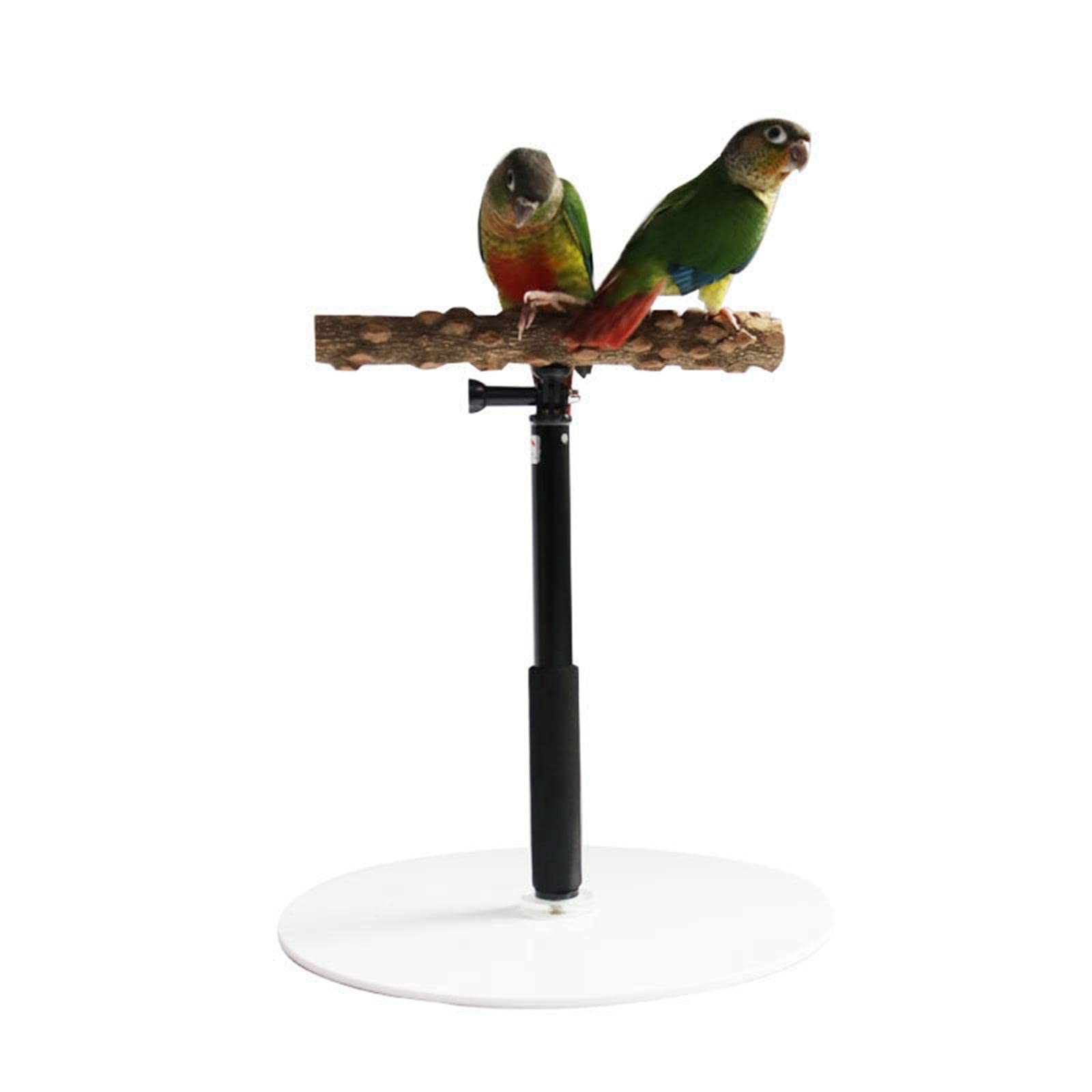 Vogelstange Holz Parrot Training T Stand Sitz Spielplatz Leiter Funktion Unterstützt Mentale Und Körperliche Entspannung für Tisch Büro Fensterbank Kä