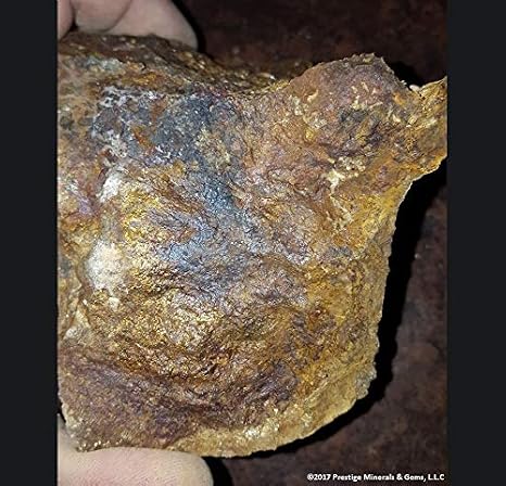 1 LB Genuine Colorado Gold Ore