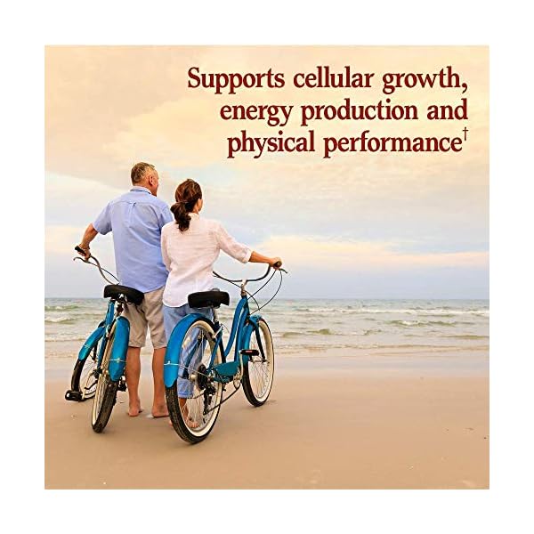 Garden-of-Life-Vegetarian-Omega-3-6-9-Supplement-Raw-CoQ10-Chia-Seed-Oil-Whole-Food-Nutrition-with-Antioxidant-Support-60-Count Garden of Life Vegetarian Omega 3 6 9 Supplement - Raw CoQ10 Chia Seed Oil Whole Food Nutrition with Antioxidant Support, 60 Capsules