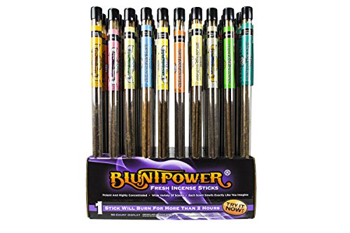 BluntPower Air Freshener Fresh Incense Sticks Assorted Scents (6ct Pack of 10) - Bulk Packing, No Cardboard Display
