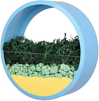 Wall Mounted Planter Wall Hanging Planters Metal Plant Terrarium for Indoor Planter, Air Plant Holders Decorative Morden Circle Iron Vase for Succulent Indoor Wall DecorSmall 6" H, Blue