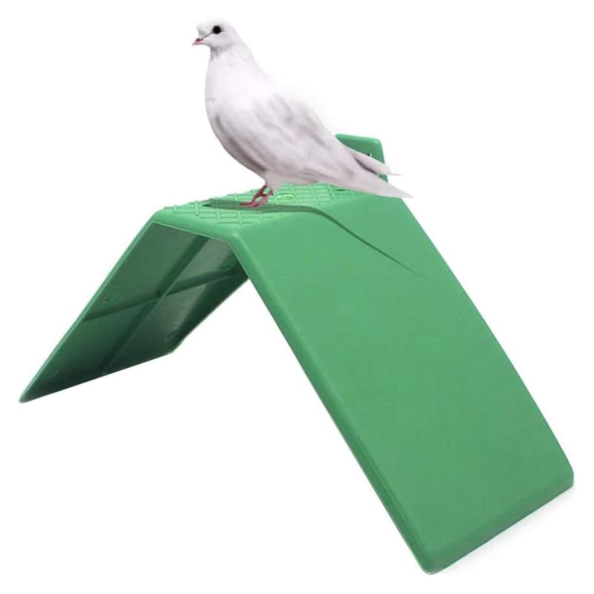 10 Piezas de Soporte de Descanso para Palomas, Soporte de pie para Palomas mensajeras para pájaros, Suministros para Palomas, Soporte de Descanso de plástico para Palomas, Ideal para Palomas