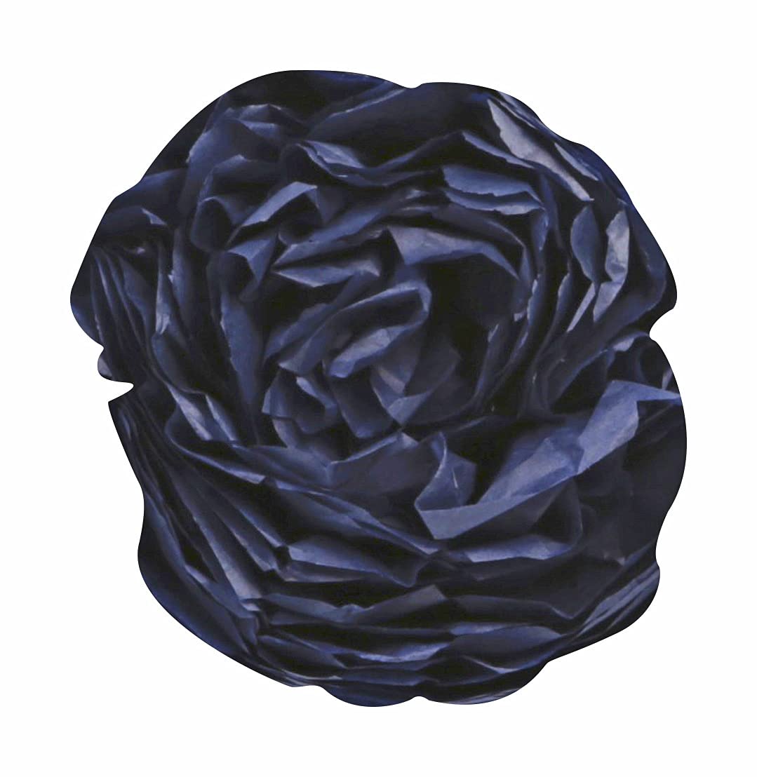 394060C - Rouleau De 24 Feuilles De Papier De Soie 18G-M²