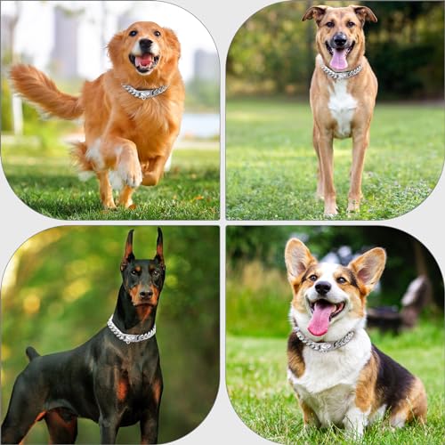 15mm Breite Rostfreier Stahl Hundehalsband Metall Hundehalsband Hundekette Halsbänder Pet Training Walking Halsband (Silbrig,35cm)