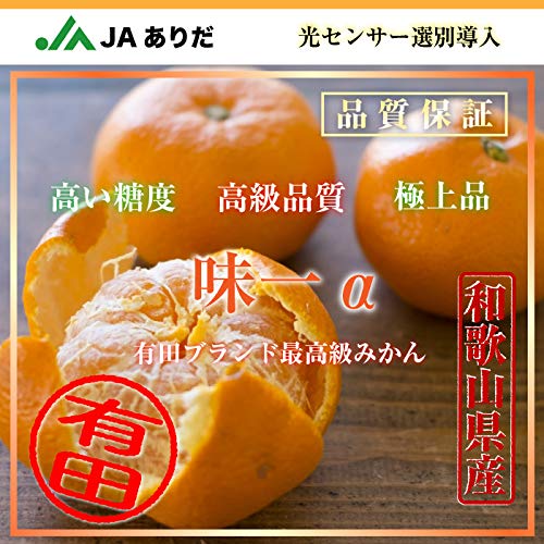 Amazon.co.jp: 有田みかん 味一α みかん 糖度13度 5kg 和歌山県有田産