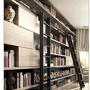 Generisch Schwarzes Schiebetür-Set mit Rollleiter Hardware