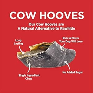 Barkworthies Pure Cow Hooves for Canine (12 pk) – Single Ingredient Lengthy Lasting Canine Chew – Grass Fed Free Vary 100% Beef Cow Hoofs for Canine – Promotes Dental Well being