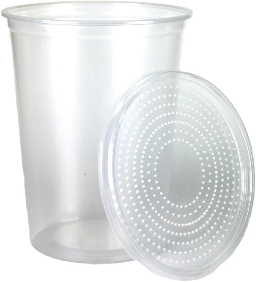 Josh's Frogs Bean Beetle Culture Kit